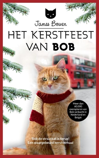Afbeelding van Het Kerstfeest van Bob