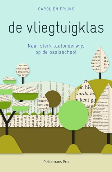 Afbeelding van De vliegtuigklas