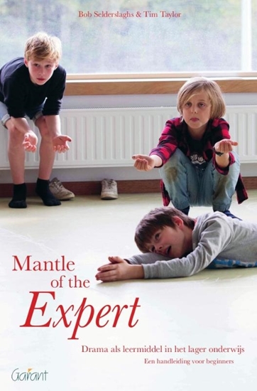 Afbeelding van Mantle of the Expert