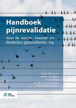 Afbeeldingen van Handboek pijnrevalidatie