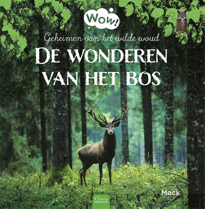 Afbeeldingen van Wow! De wonderen van het bos