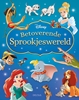 Afbeelding van Disney betoverende sprookjeswereld