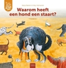 Afbeelding van Ik zie, ik zie wat jij niet ziet... Waarom heeft een hond een staart?