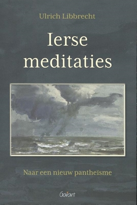 Afbeeldingen van Ierse meditaties