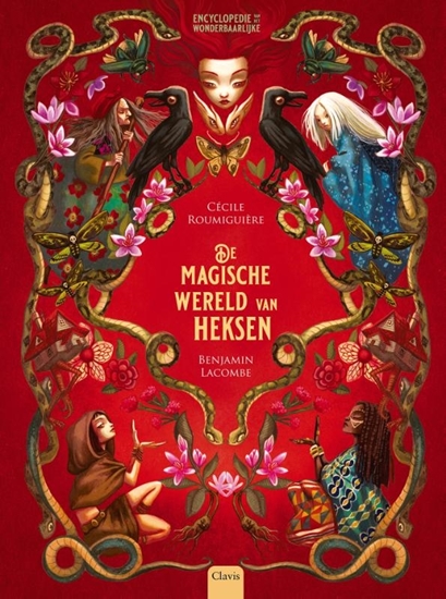 Afbeelding van De magische wereld van heksen