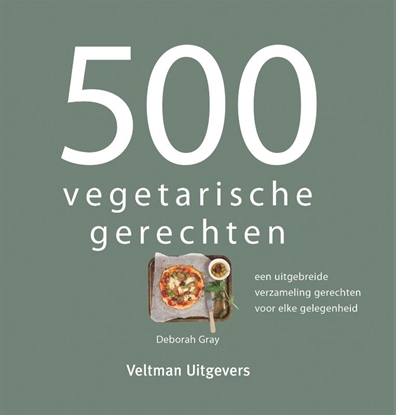 Afbeeldingen van 500 vegetarische gerechten