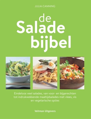 Afbeeldingen van de Saladebijbel
