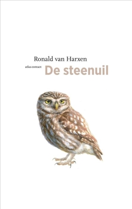 Afbeeldingen van De vogelserie De steenuil