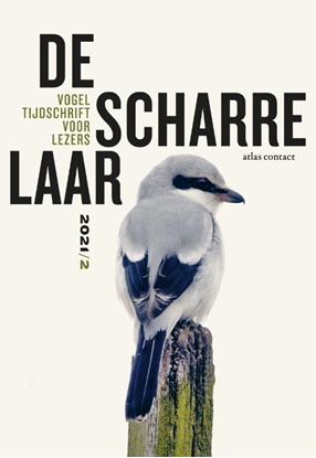 Afbeeldingen van De Scharrelaar De scharrelaar 2021/2