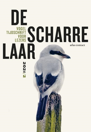 Afbeelding van De Scharrelaar De scharrelaar 2021/2