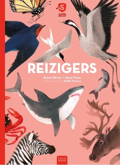 Afbeelding van Superbeesjes Reizigers