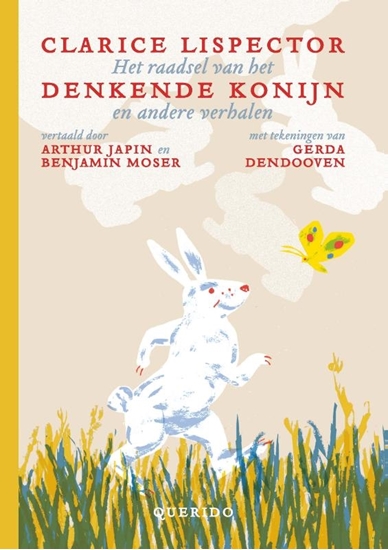 Afbeelding van Het raadsel van het denkende konijn en andere verhalen