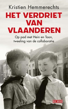 Afbeeldingen van Het verdriet van Vlaanderen