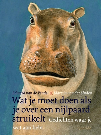 Afbeelding van Wat je moet doen als je over een nijlpaard struikelt