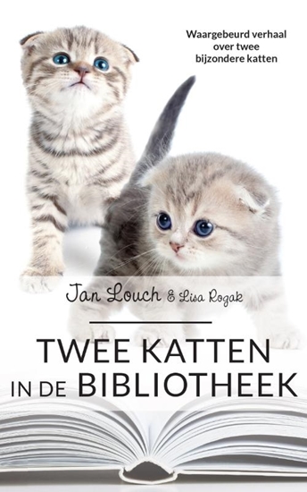 Afbeelding van Twee katten in de bibliotheek