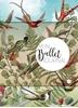 Afbeelding van Mijn Bullet Journal Kolibrie