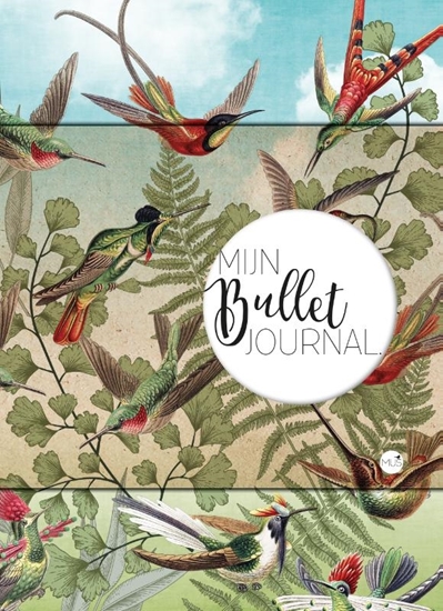 Afbeelding van Mijn Bullet Journal Kolibrie