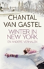 Afbeelding van Winter in New York en andere verhalen