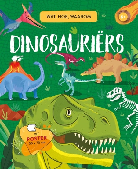 Afbeelding van Dinosauriërs - Wat, hoe, waarom