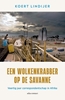 Afbeelding van Een wolkenkrabber op de savanne