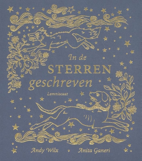 Afbeelding van In de sterren geschreven