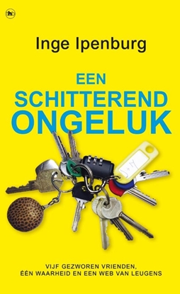 Afbeeldingen van Een schitterend ongeluk