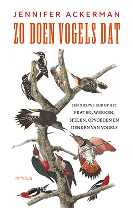Afbeeldingen van Zo doen vogels dat