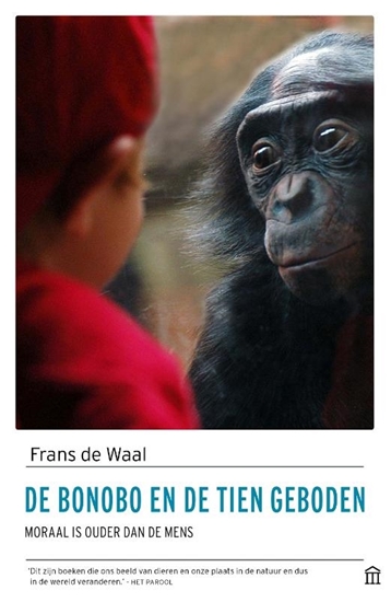 Afbeelding van De bonobo en de tien geboden