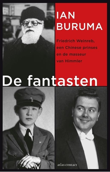 Afbeelding van De fantasten