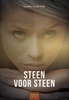 Afbeelding van Steen voor steen