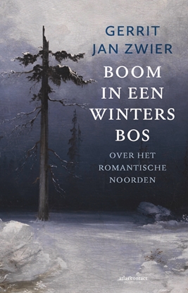 Afbeeldingen van Boom in een winters bos