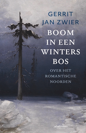 Afbeelding van Boom in een winters bos