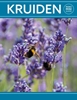 Afbeelding van Kruiden - Rebo mini guide