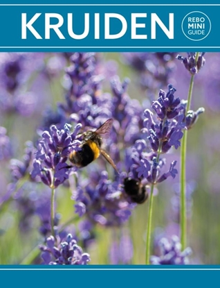 Afbeeldingen van Kruiden - Rebo mini guide
