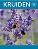 Afbeelding van Kruiden - Rebo mini guide