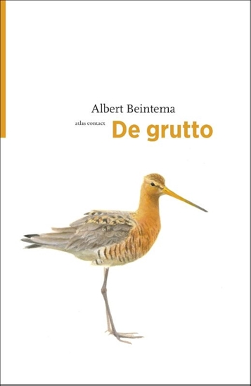 Afbeelding van De vogelserie De grutto
