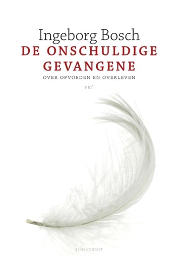Afbeelding van De onschuldige gevangene