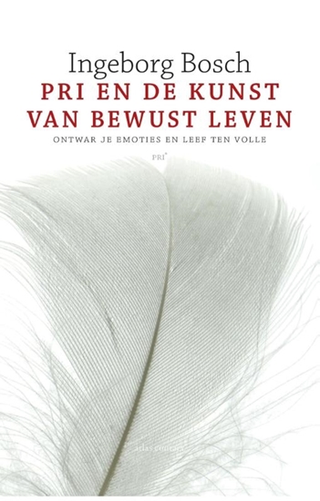 Afbeelding van PRI en de kunst van bewust leven