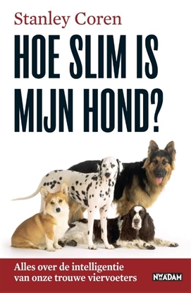 Afbeeldingen van Hoe slim is mijn hond?