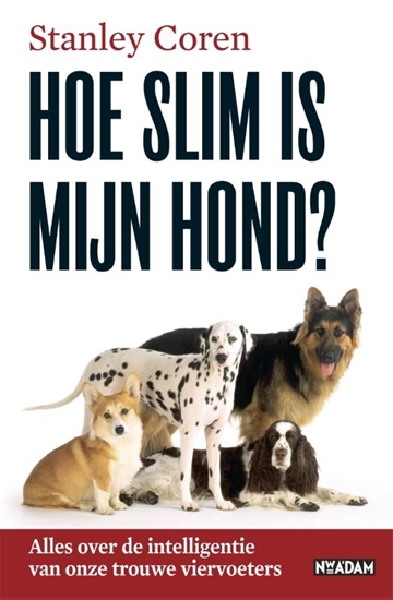 Afbeelding van Hoe slim is mijn hond?