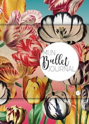 Afbeeldingen van Mijn Bullet Journal
