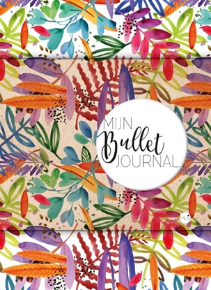 Afbeeldingen van Mijn Bullet Journal