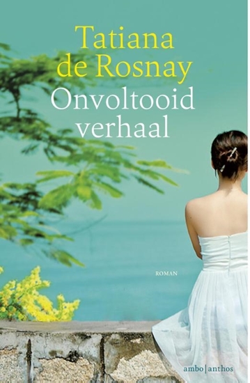 Afbeelding van Onvoltooid verhaal