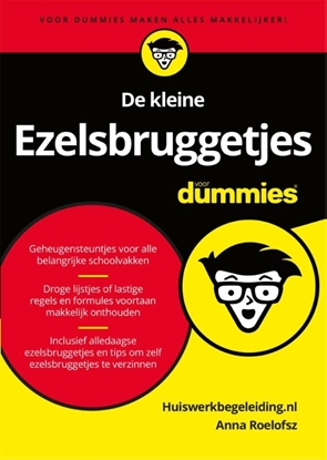Afbeeldingen van Voor Dummies De kleine ezelsbruggetjes voor Dummies