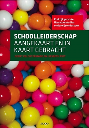 Afbeeldingen van Praktijkgerichte literatuurstudies onderwijsonderzoek Schoolleiderschap aangekaart en in kaart gebracht