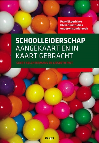 Afbeelding van Praktijkgerichte literatuurstudies onderwijsonderzoek Schoolleiderschap aangekaart en in kaart gebracht