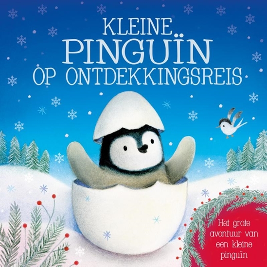 Afbeelding van Kleine pinguïn op ontdekkingsreis