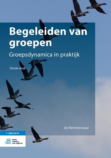 Afbeelding van Begeleiden van groepen