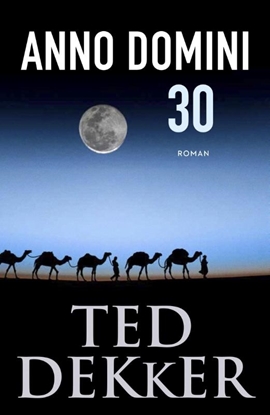 Afbeeldingen van Anno Domini 30