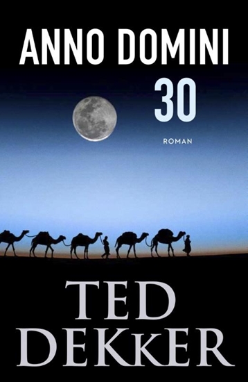 Afbeelding van Anno Domini 30